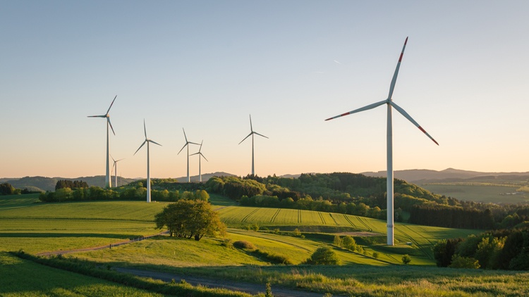 Windräder in sanft-hügeliger Landschaft